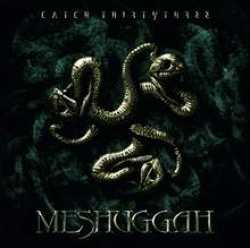 Meshuggah : Catch Thirtythree